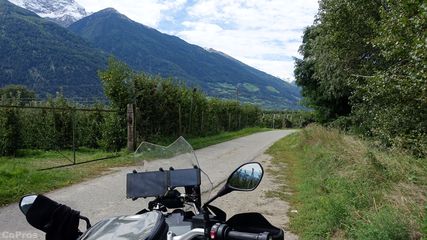 Eines der zahlreichen Obstfelder in Laas (Südtirol)